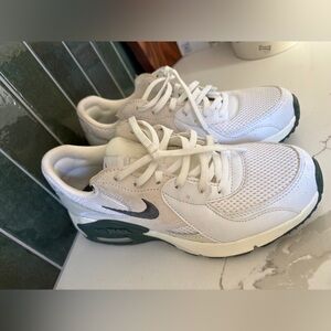 Nike Air Max Sneakers